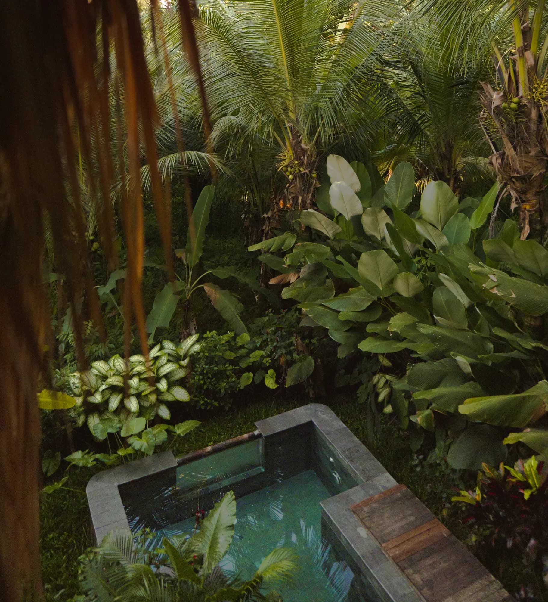 A plunge pool set into dense tropical planting